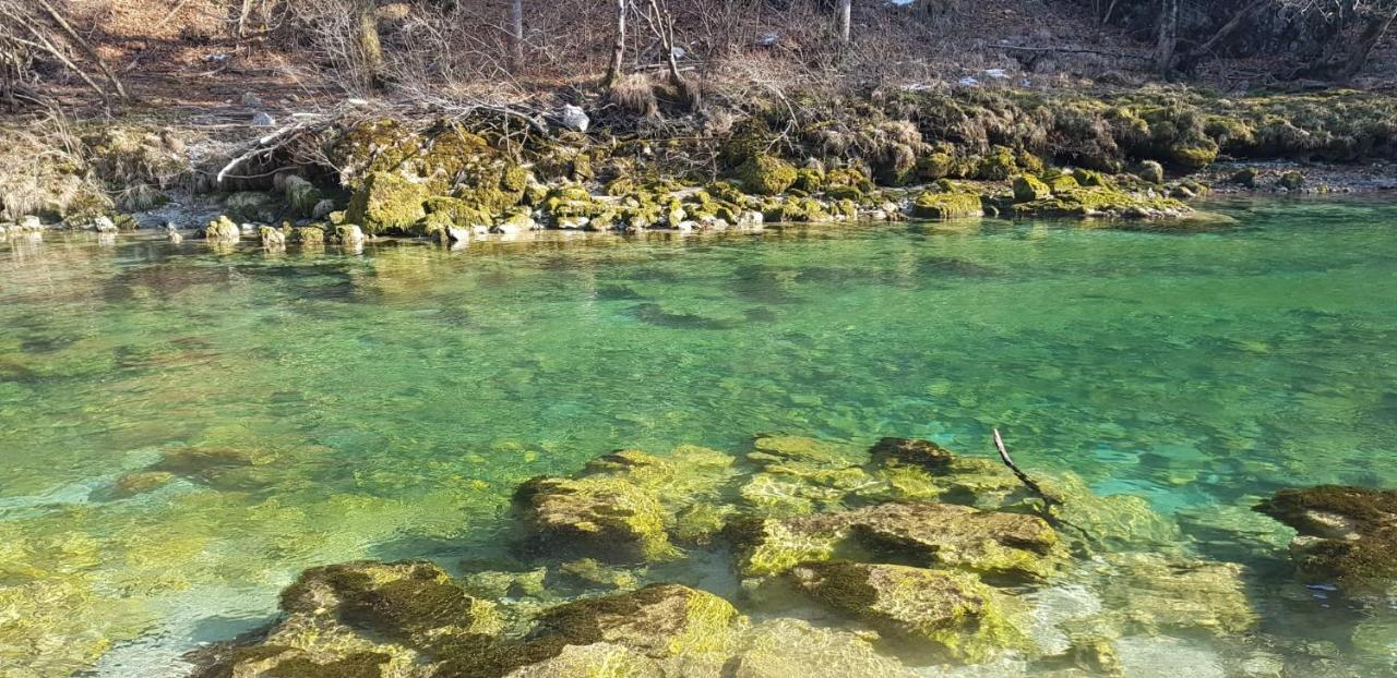 Ingreen House Bohinjska Bela Eksteriør bilde