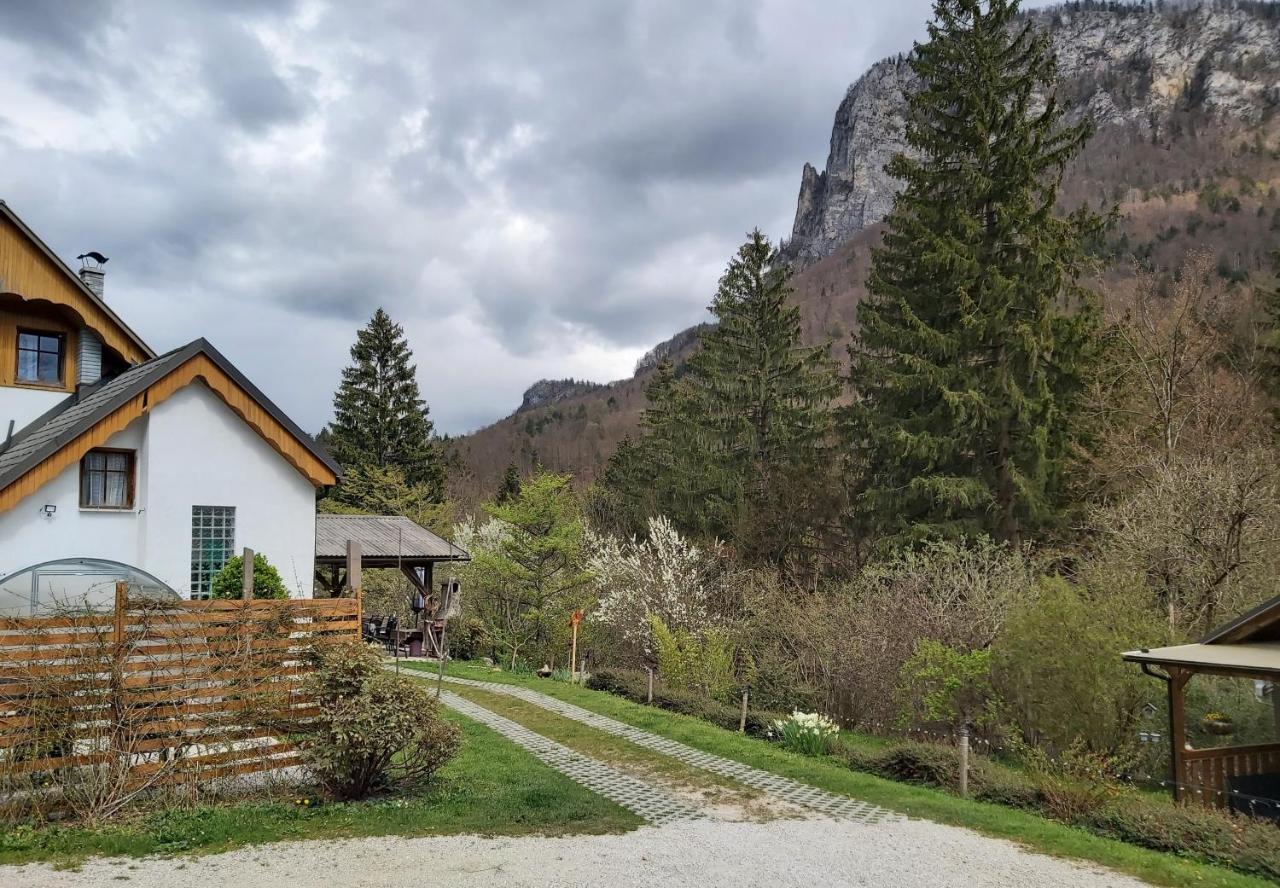 Ingreen House Bohinjska Bela Eksteriør bilde