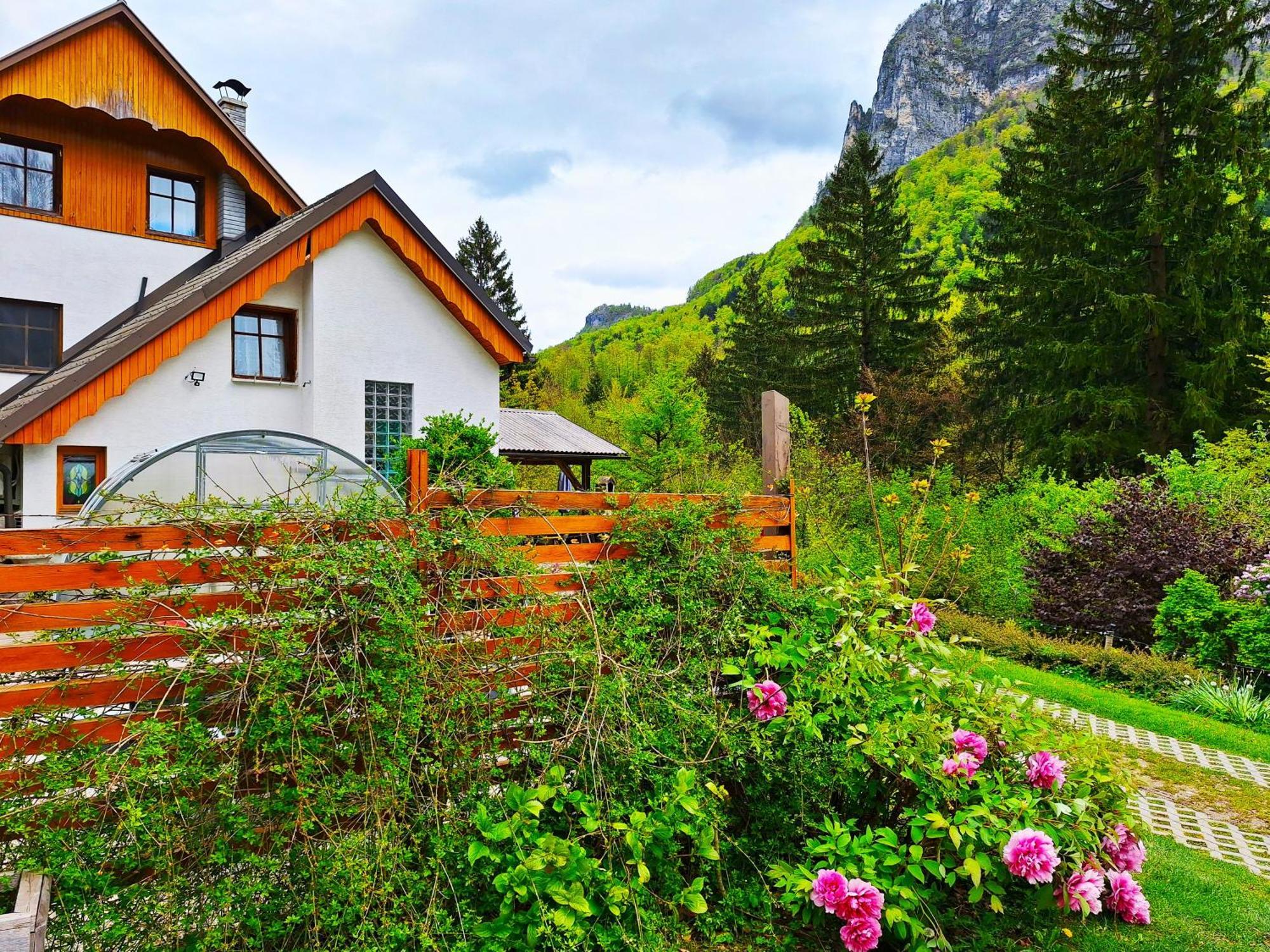 Ingreen House Bohinjska Bela Eksteriør bilde