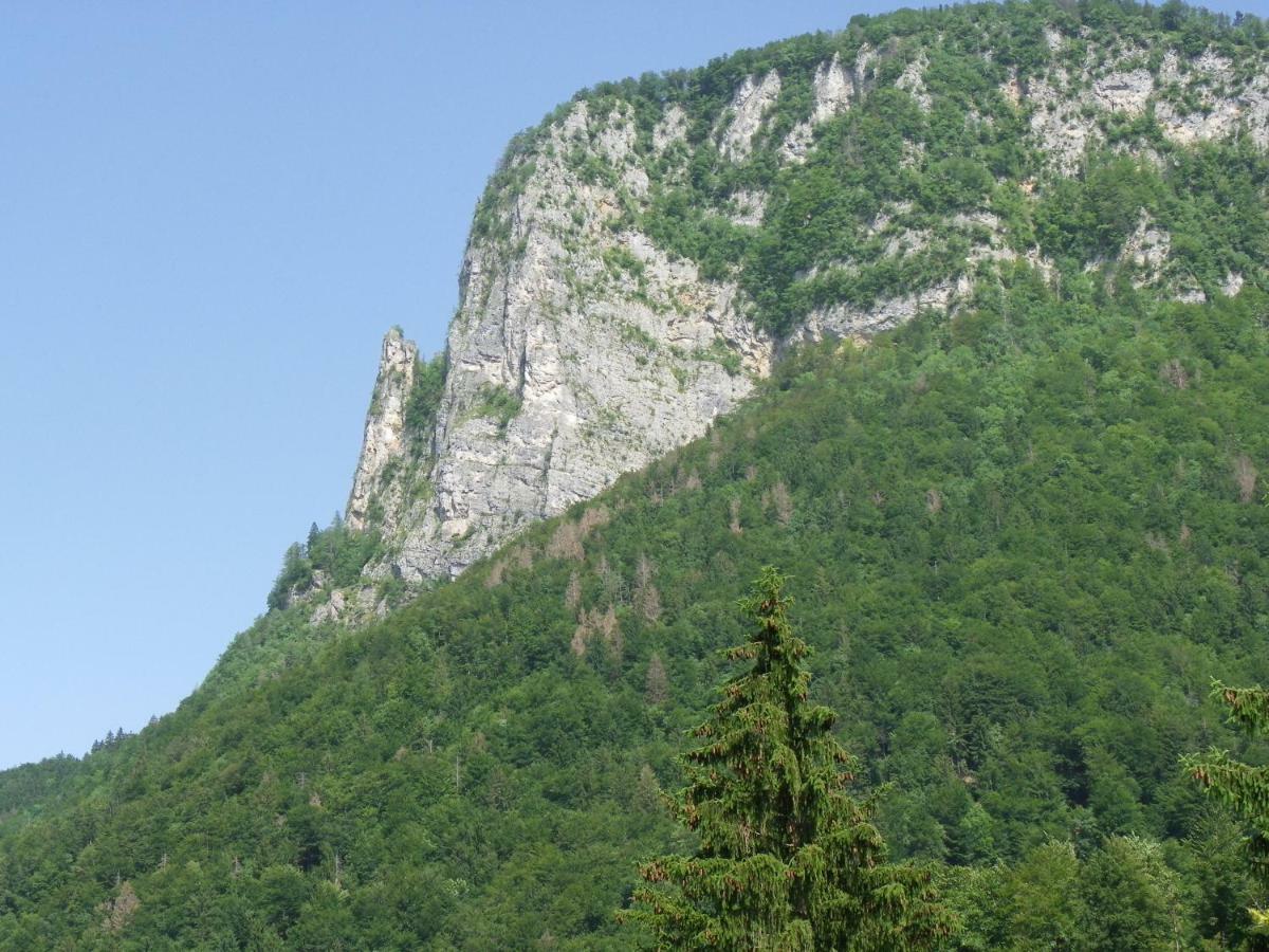 Ingreen House Bohinjska Bela Eksteriør bilde